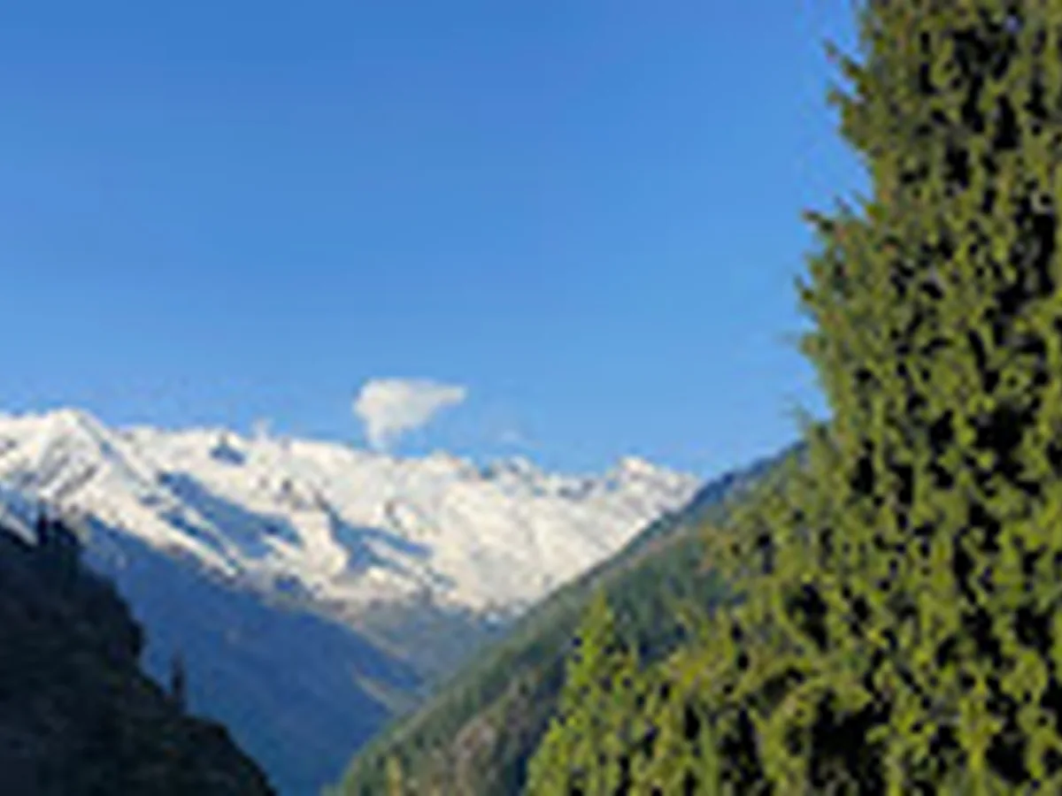 Real mountain view near Khaapus Kitchen Malana